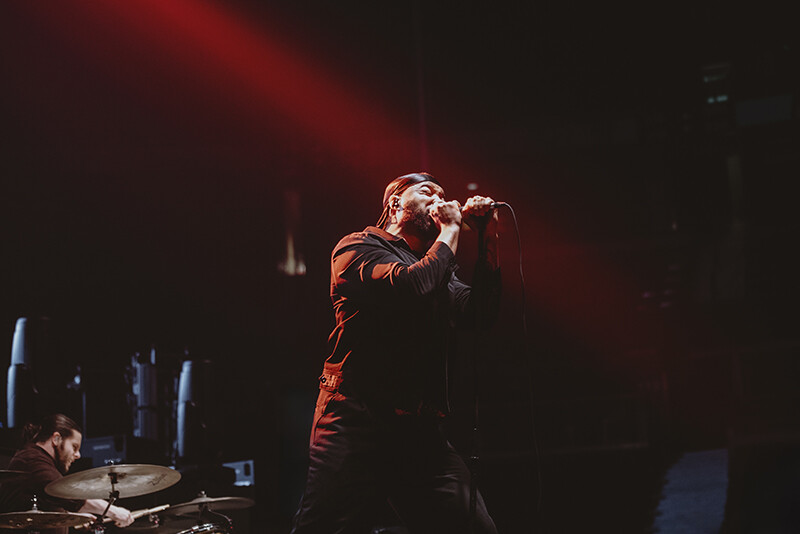 Photo by Laura Collins.