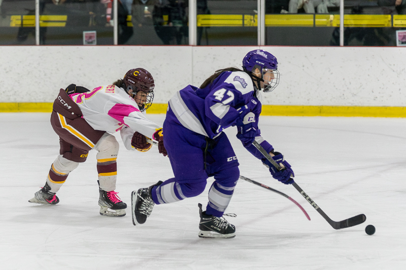 Bishops University takes on Concordia Stingers at Ed Meagher arena on November 15, 2024.