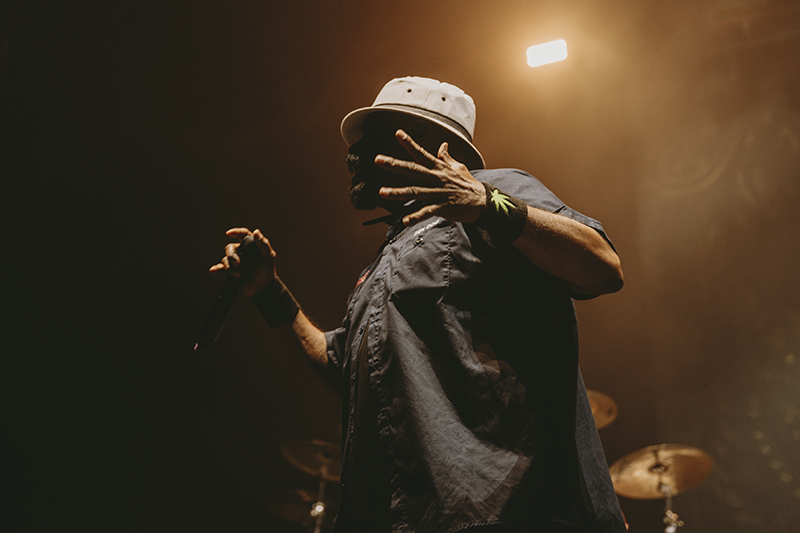 Photo by Laura Collins.