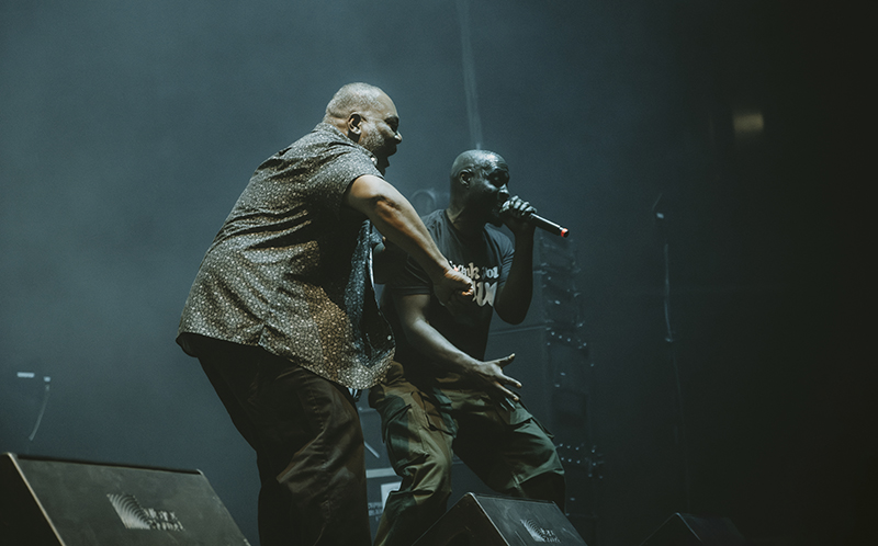 Photo by Laura Collins.