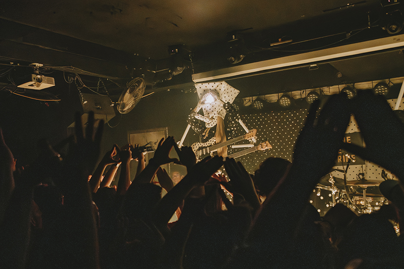 Photo by Laura Collins.