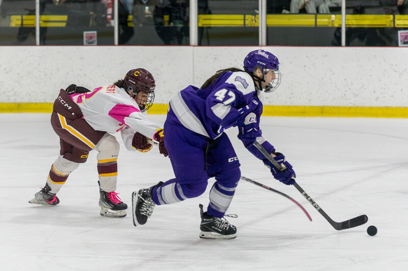 Bishops University takes on Concordia Stingers at Ed Meagher arena on November 15, 2024.