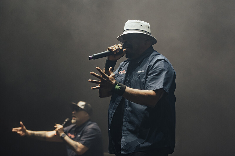 Photo by Laura Collins.