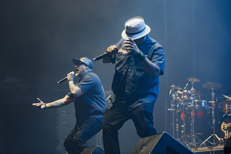 Photo by Laura Collins.