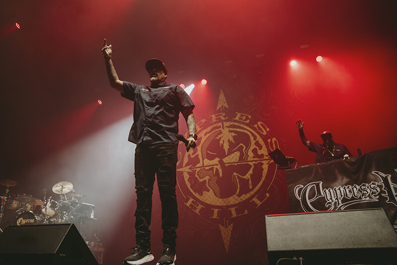 Photo by Laura Collins.