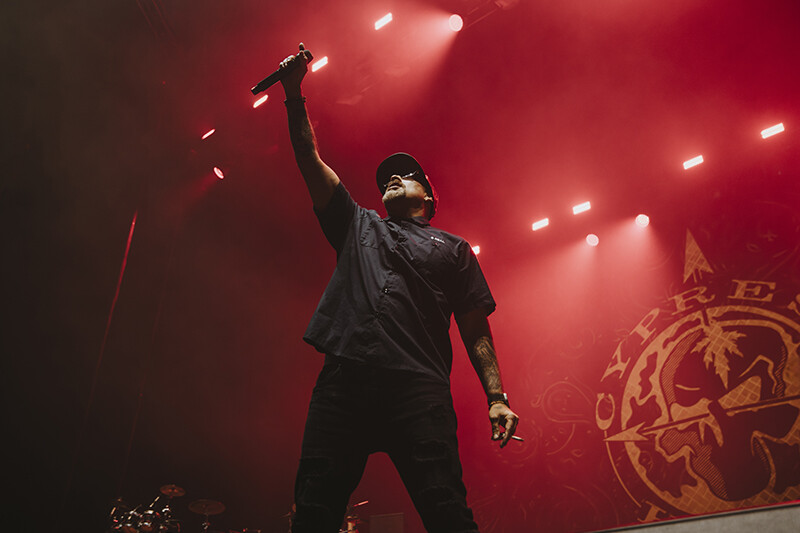 Photo by Laura Collins.