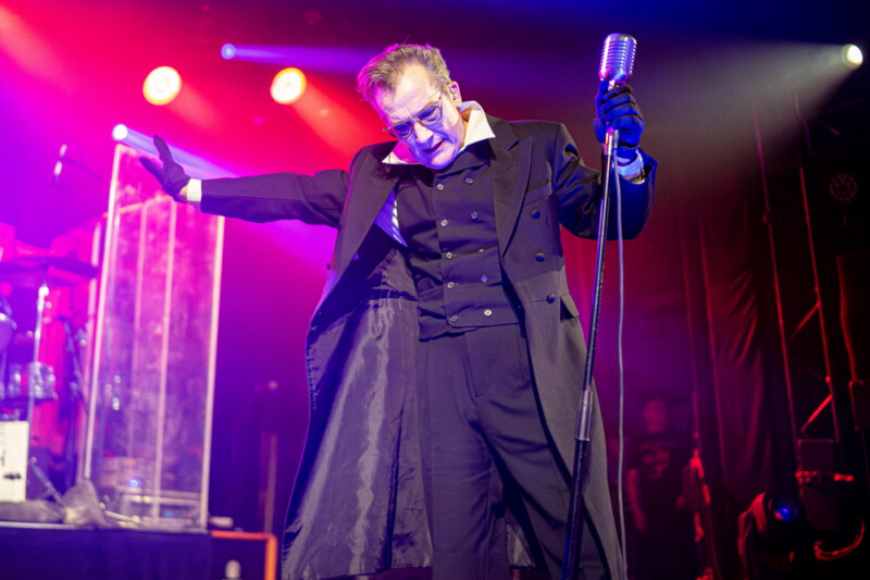 the damned