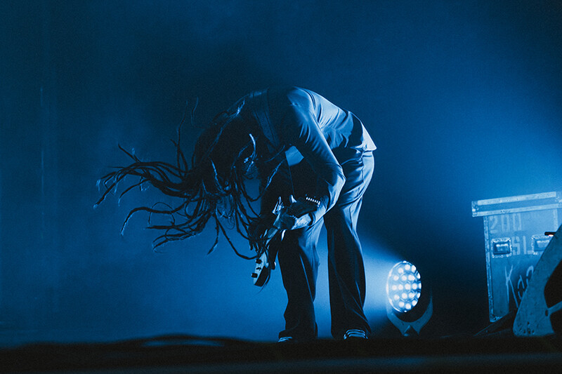 Photo by Laura Collins.