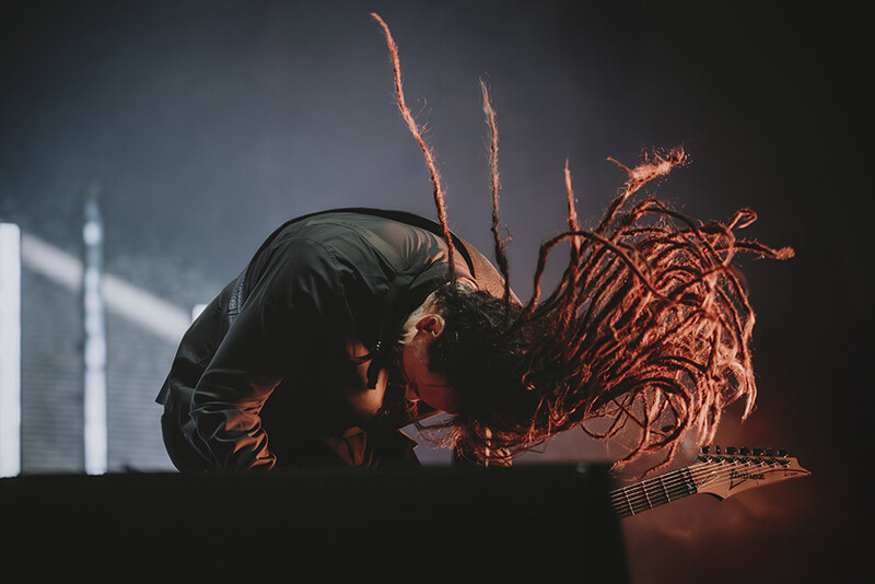 Photo by Laura Collins.