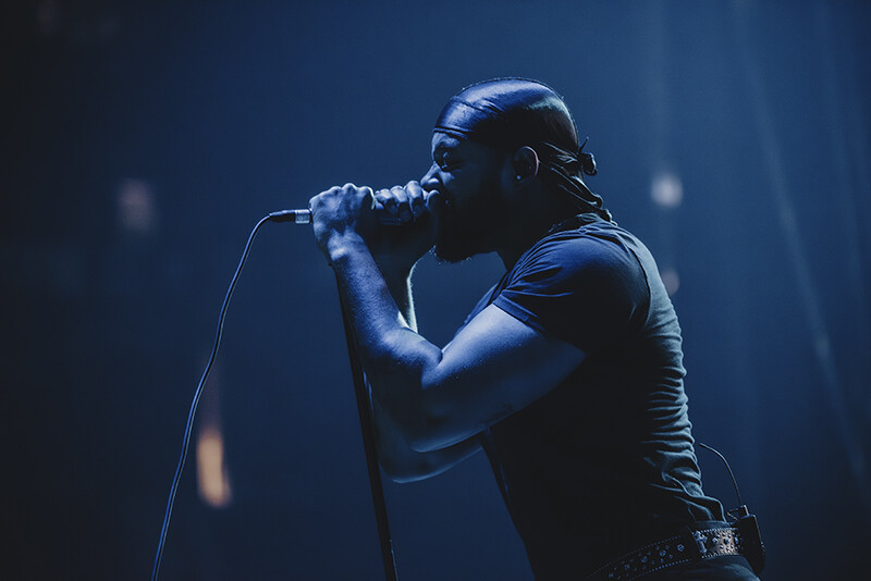 Photo by Laura Collins.